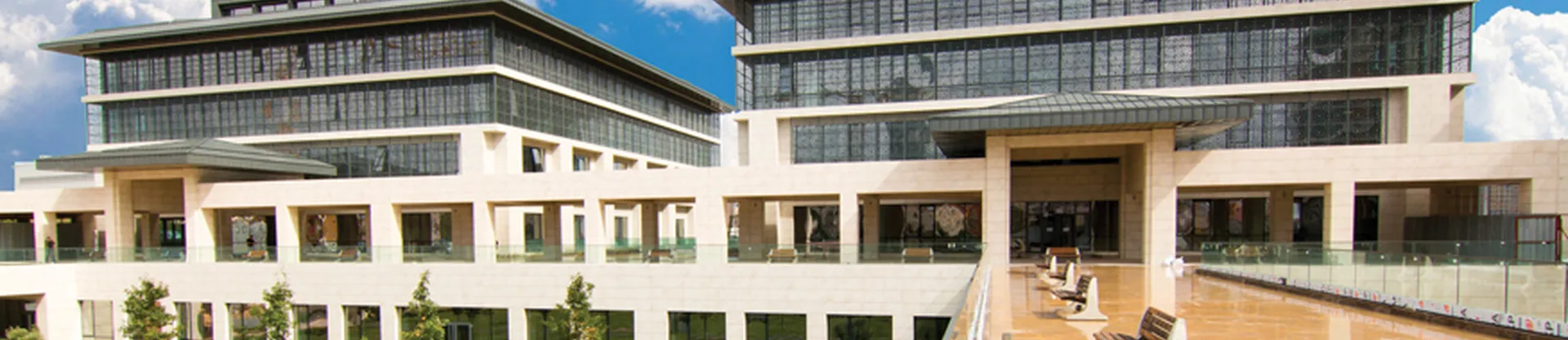 İstanbul 29 Mayıs Üniversitesi