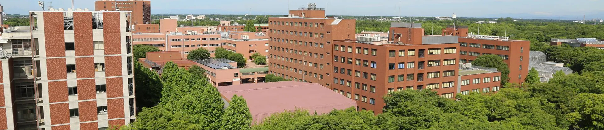 University of Tsukuba