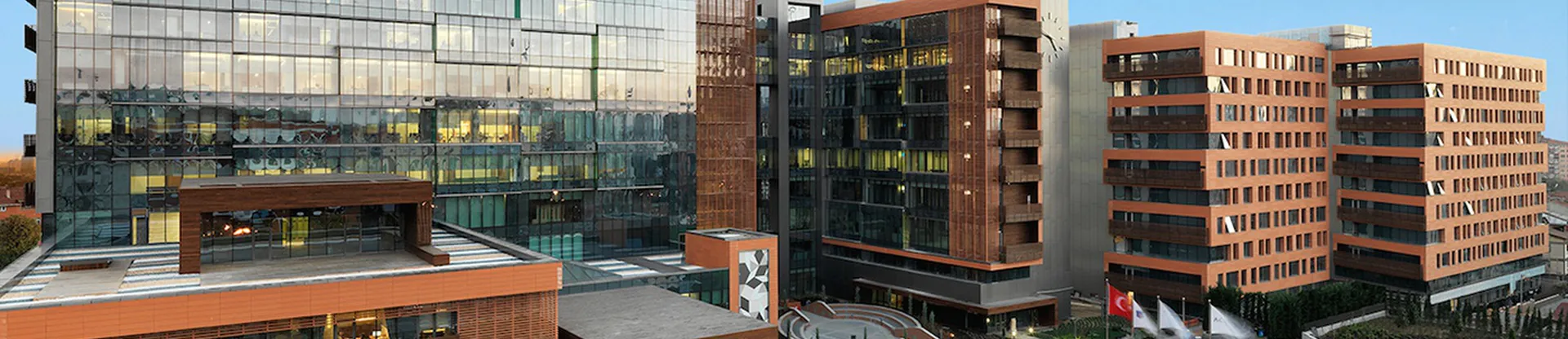 Acıbadem Mehmet Ali Aydınlar Üniversitesi