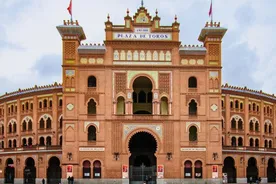 Rey Juan Carlos Üniversitesi