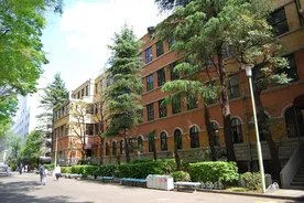 Sophia Üniversitesi