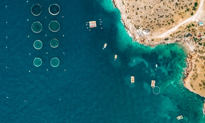 Su Ürünleri Mühendisliği Maaşları maaşları ne kadar?