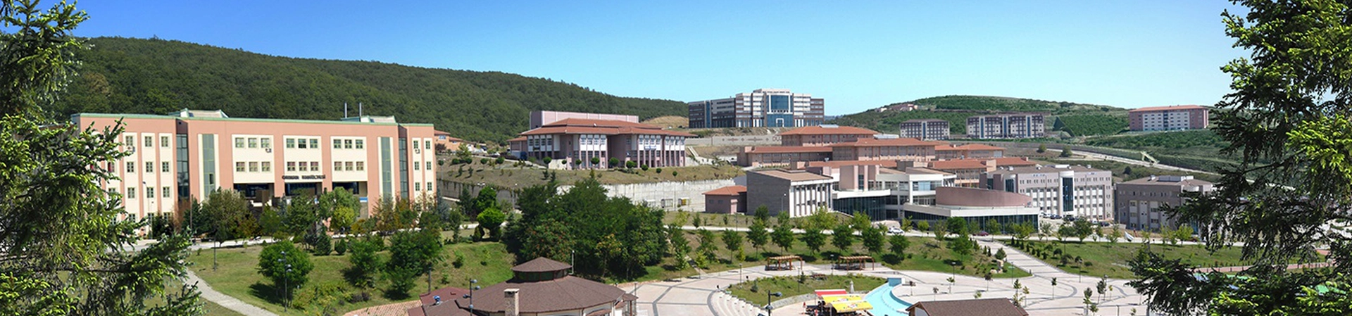 Düzce University