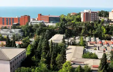 Zonguldak Bülent Ecevit Üniversitesi
