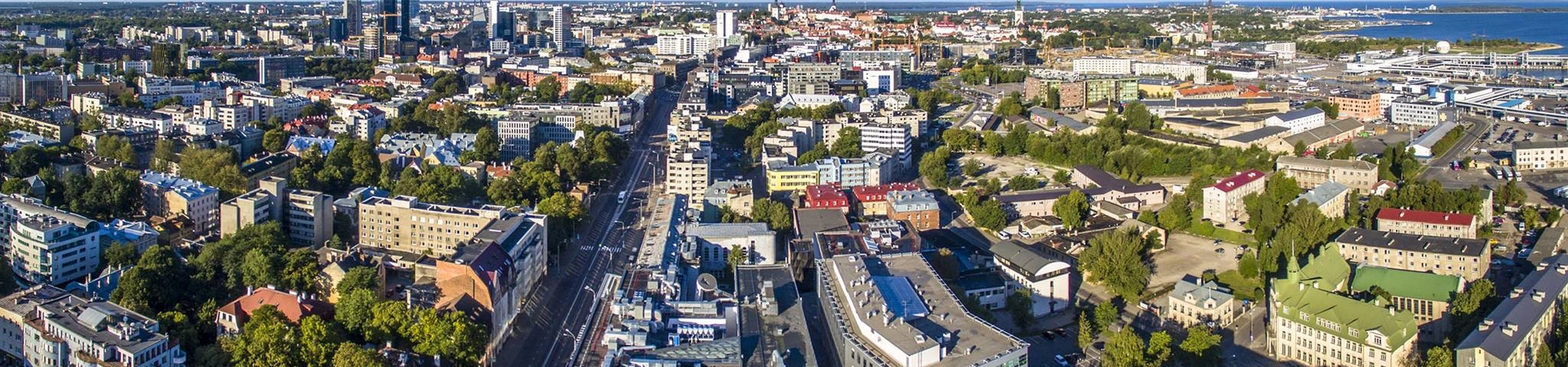 Tallinn University