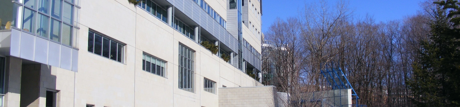 Hec Montréal Üniversitesi