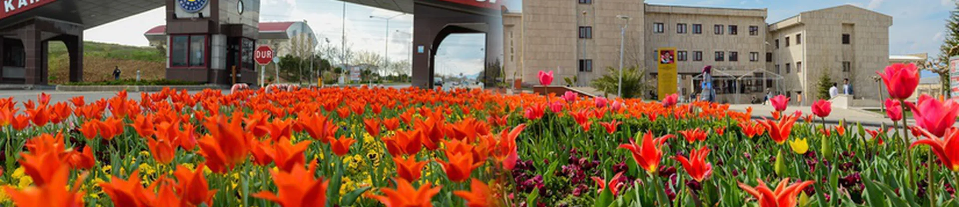 Kahramanmaraş Sütçü İmam Üniversitesi