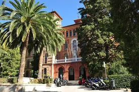 Bachelor University of Granada