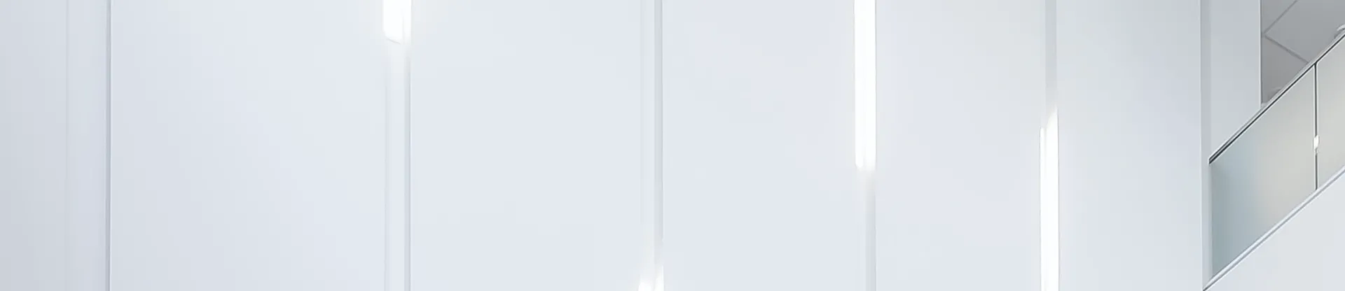 Kozminski Üniversitesi