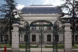 Bachelor University Lumiere Lyon 2