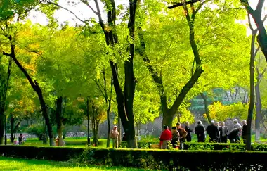 Afyonkarahisar Health Sciences University