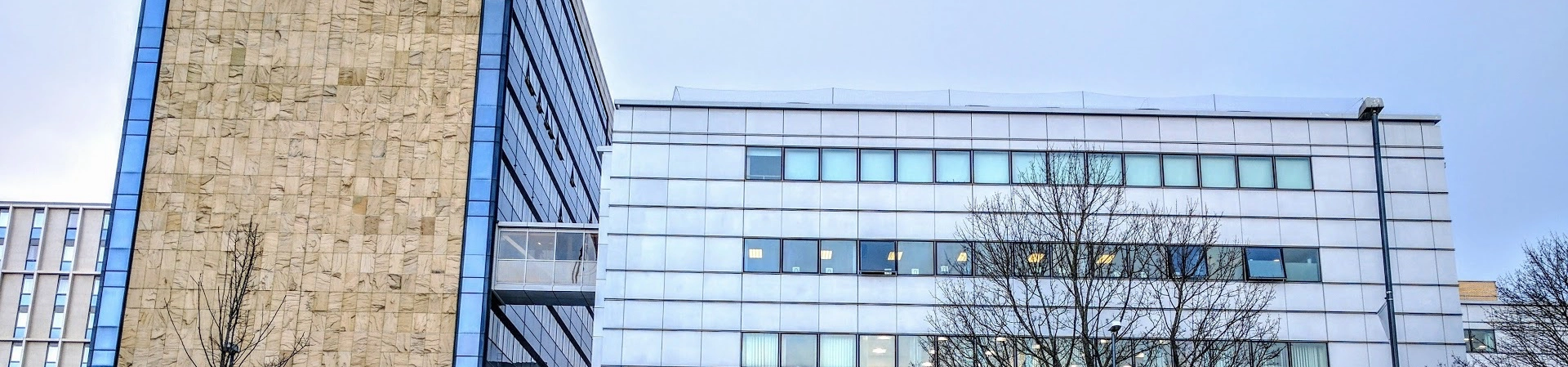 Leeds Beckett Üniversitesi