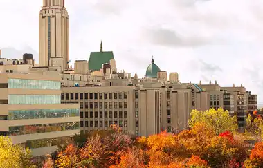 Montreal University