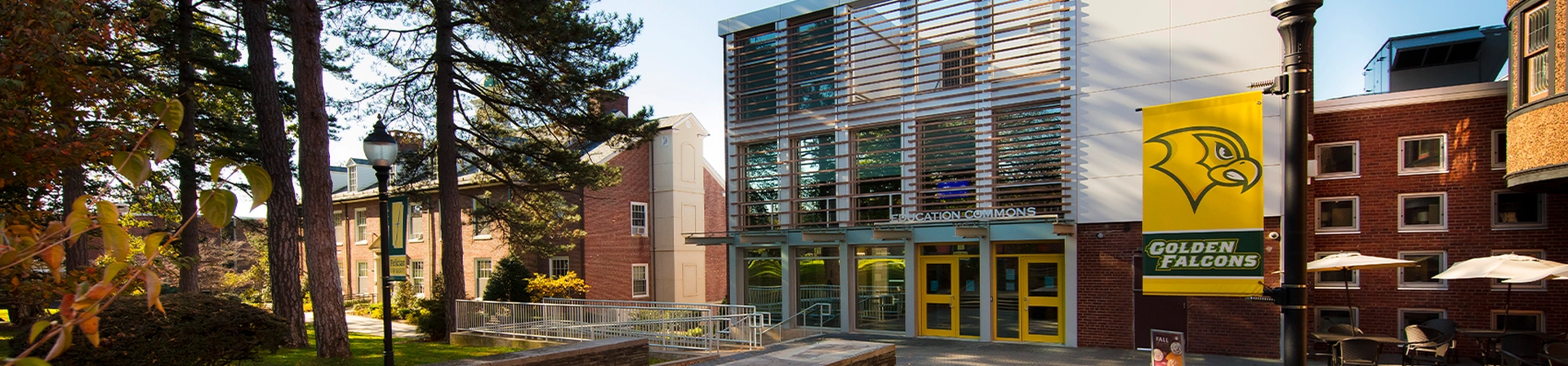 Felician Üniversitesi