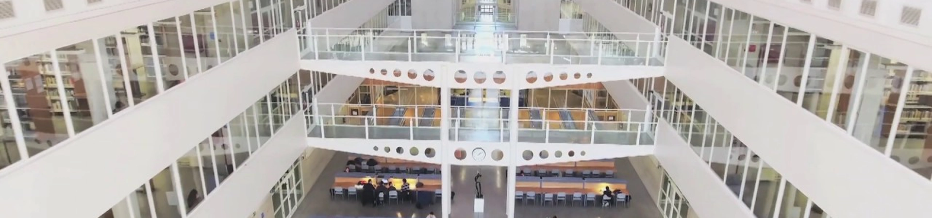 University of Navarra