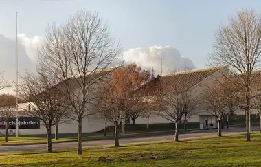 Danish School of Media and Journalism