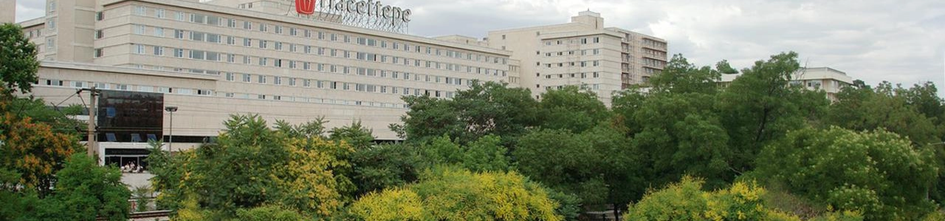 Hacettepe University