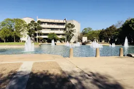 Houston Üniversitesi