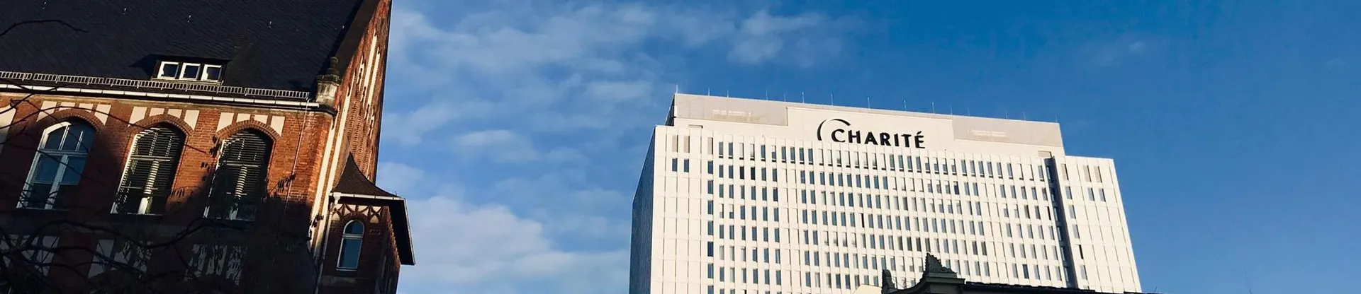 Berlin Charité Tıp Üniversitesi