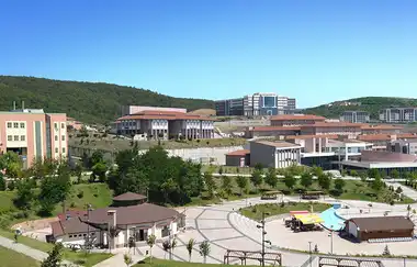 Düzce University