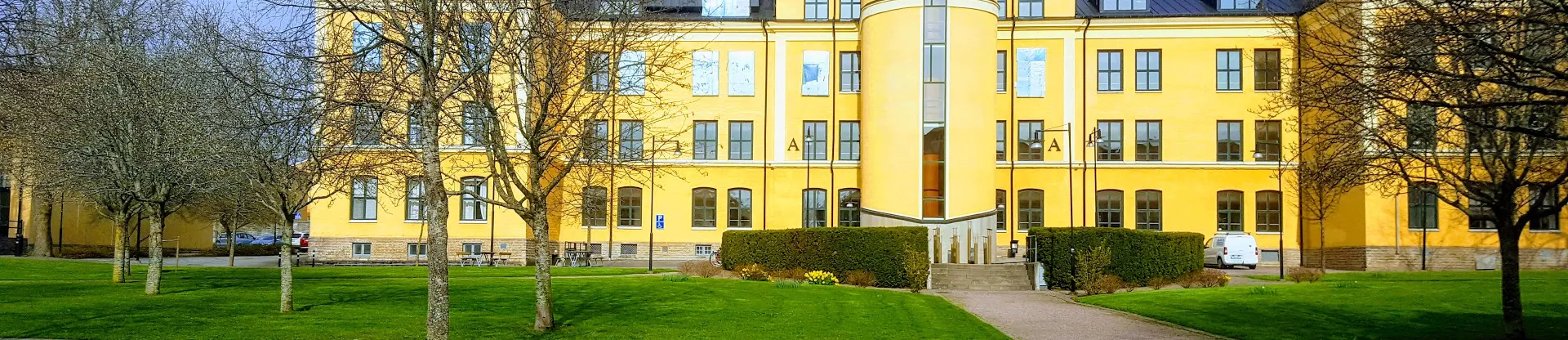 University of Skovde
