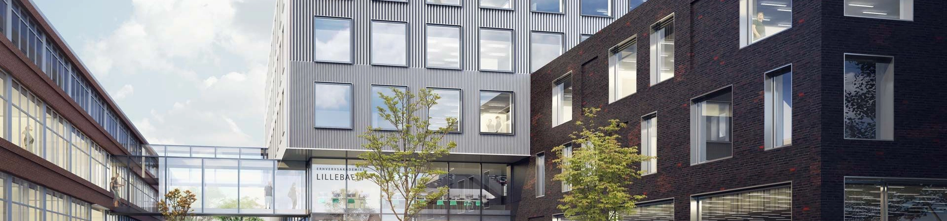 University College Lillebaelt