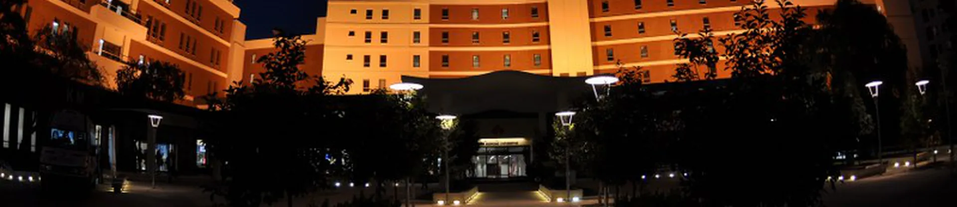 İzmir Ekonomi Üniversitesi