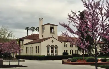 San José Eyalet Üniversitesi