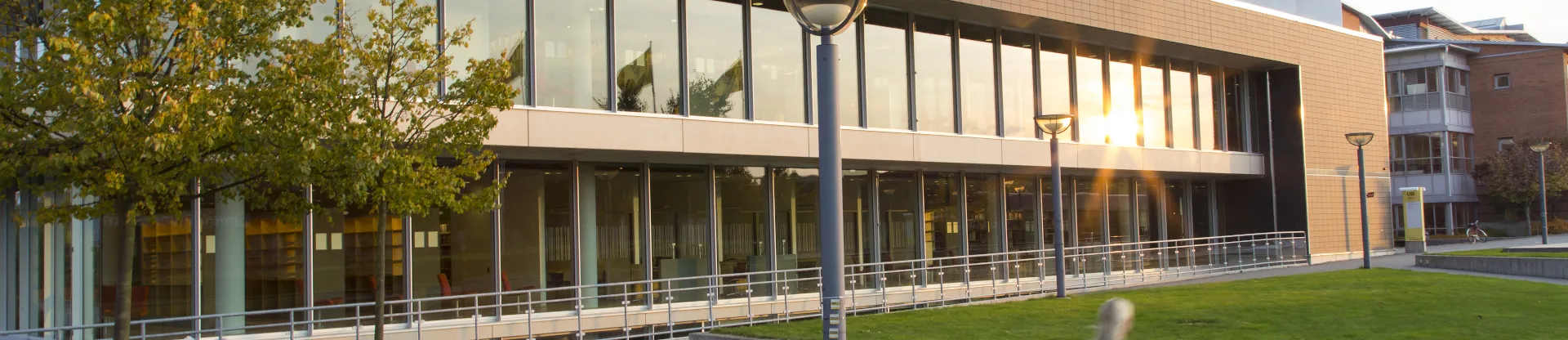 Linnaeus Üniversitesi