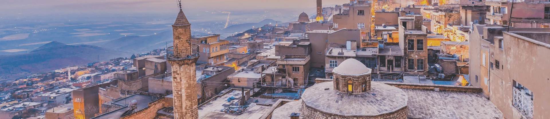 Mardin Artuklu Üniversitesi