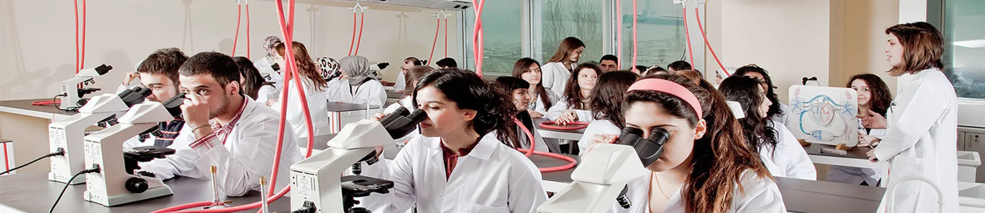 İstanbul Yeni Yüzyıl Üniversitesi