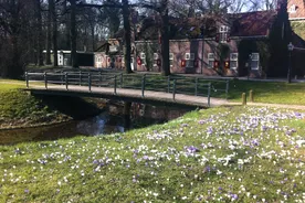 Nyenrode Business University