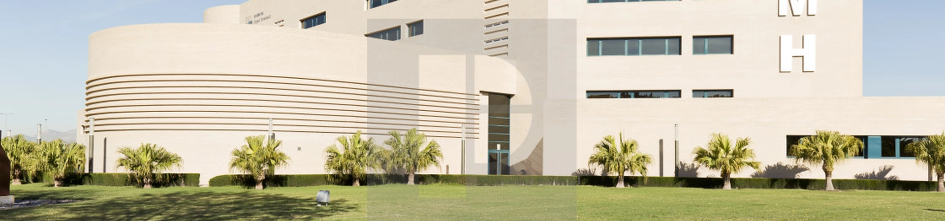 Miguel Hernndez University of Elche