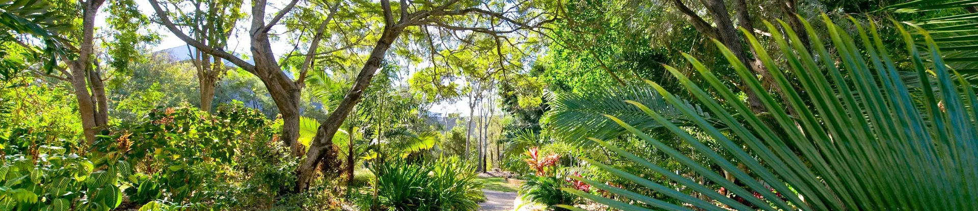 Central Queensland University
