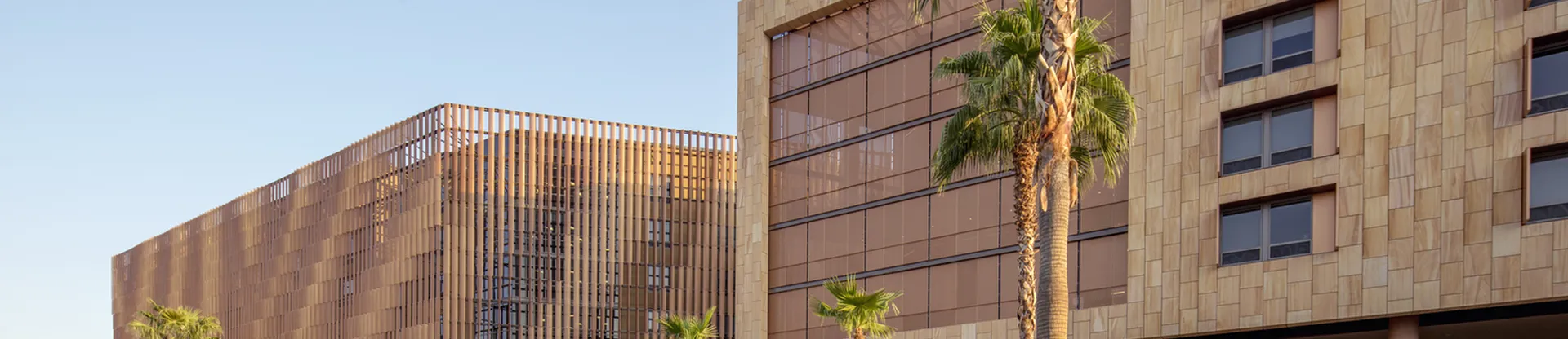 Arizona State University