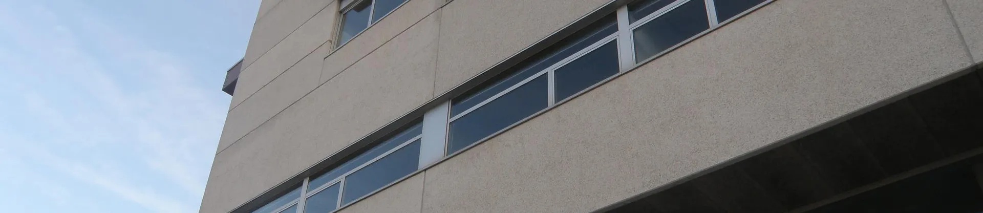 University of the Basque Country