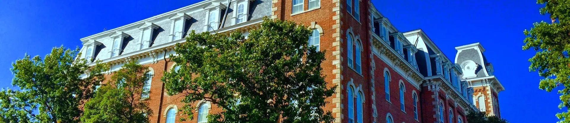 Arkansas Üniversitesi