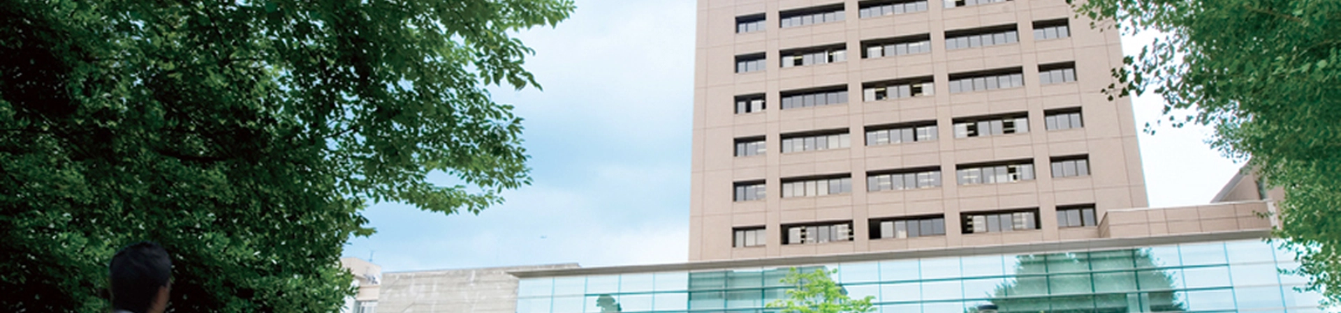 Kumamoto Üniversitesi