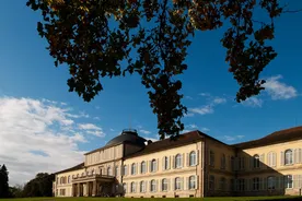 University of Hohenheim
