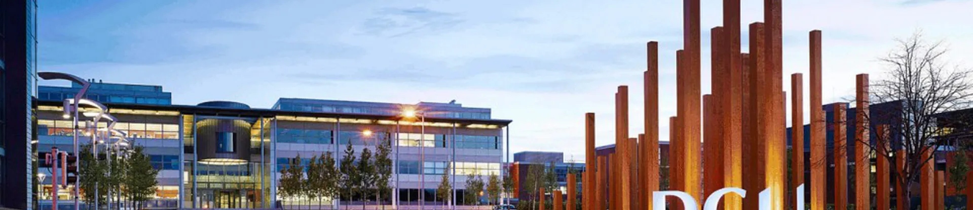 Dublin Şehir Üniversitesi