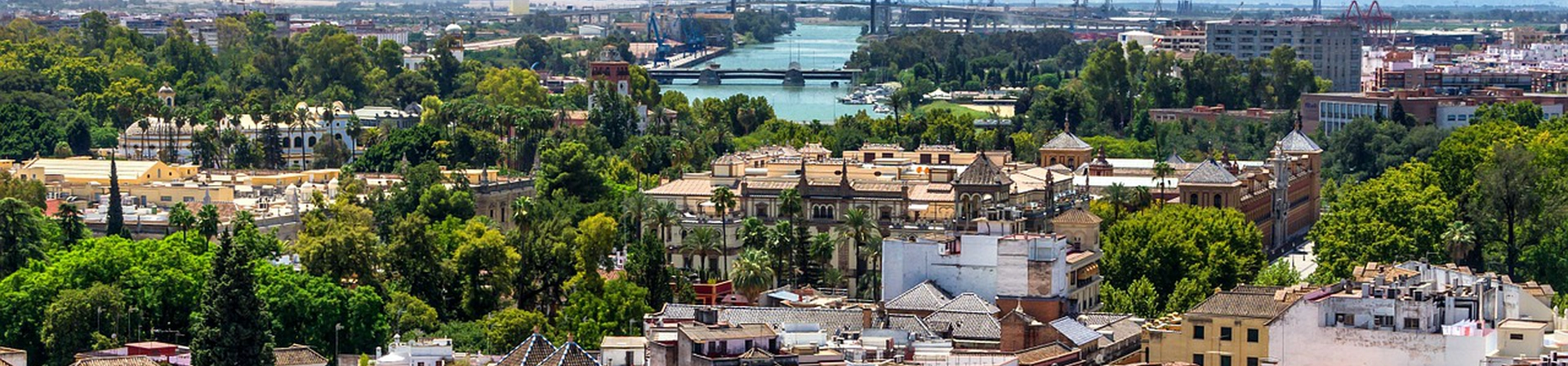 University Pablo De Olavide