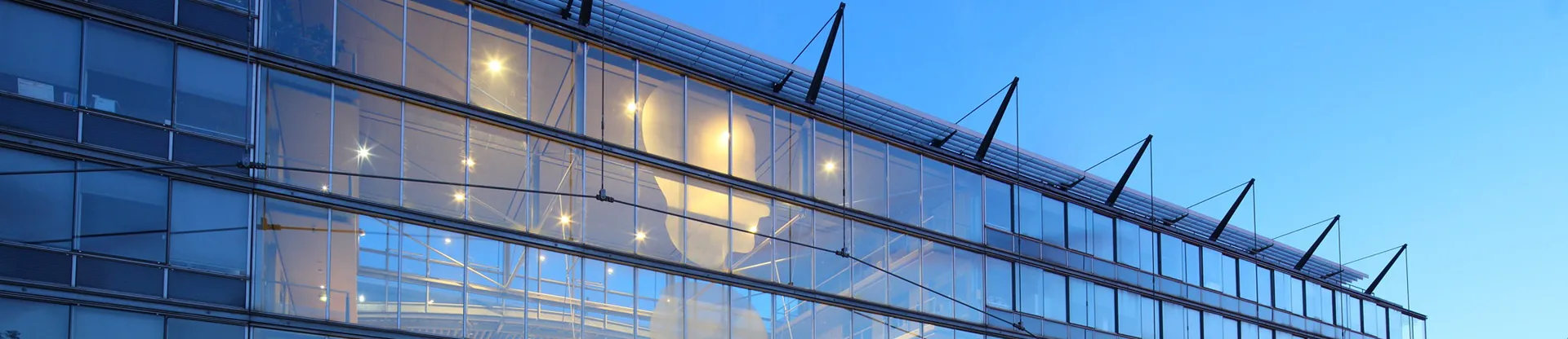 Ecole Des Ponts İşletme okulu