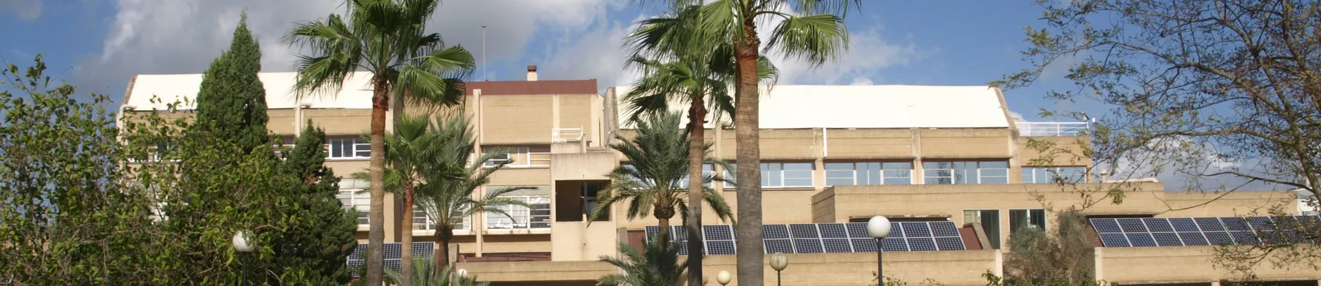 University of the Balearic Islands