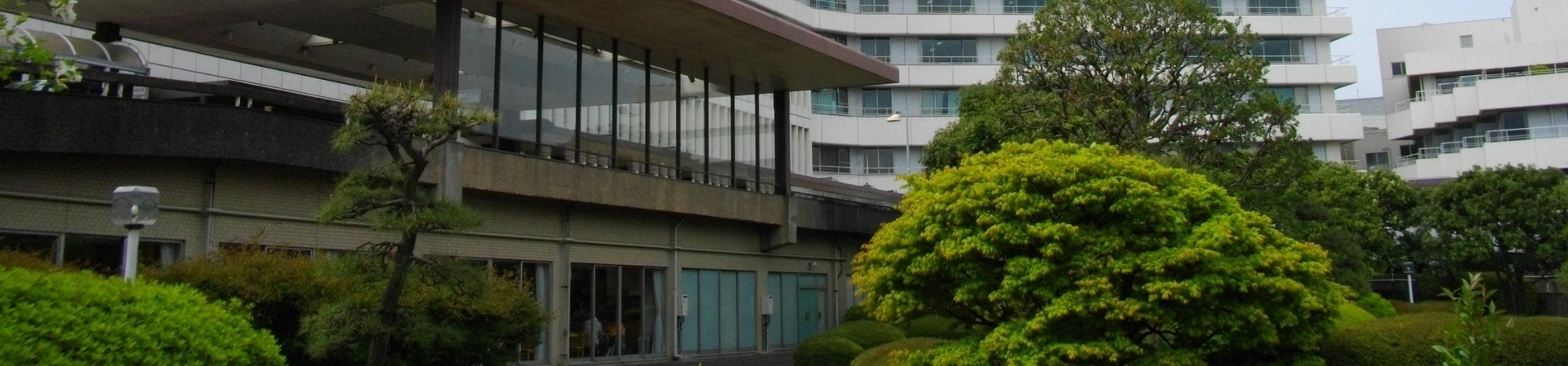 Kitasato Üniversitesi