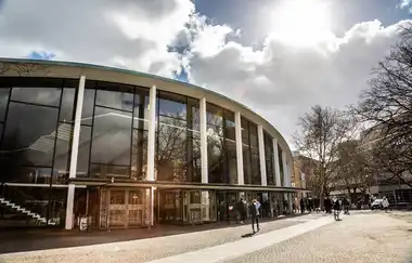 Hamburg Üniversitesi