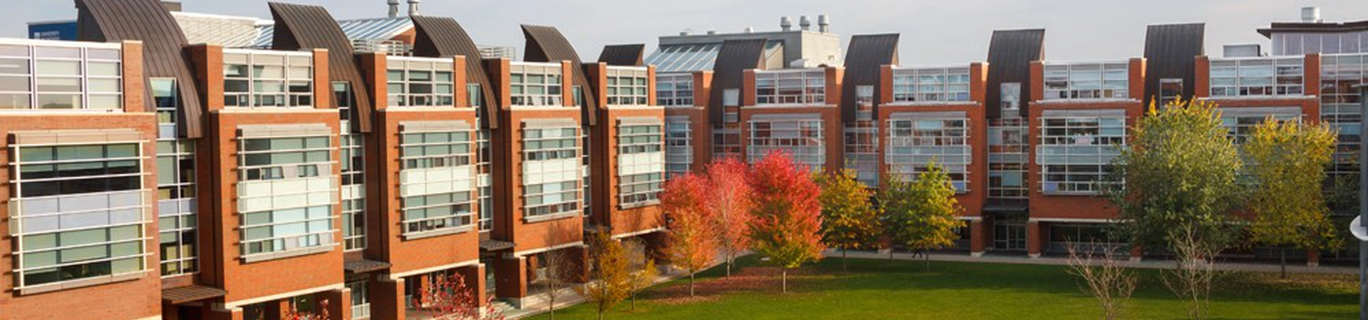 Ontario Teknoloji Üniversitesi