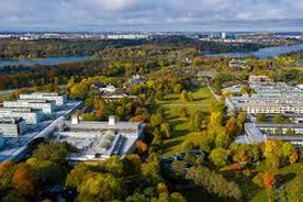Lisans Stockholm Üniversitesi - İsveç