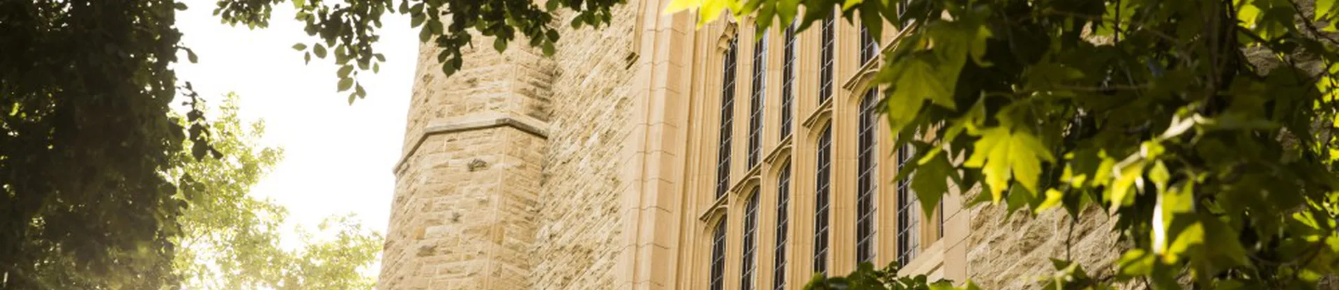 Adelaide Üniversitesi