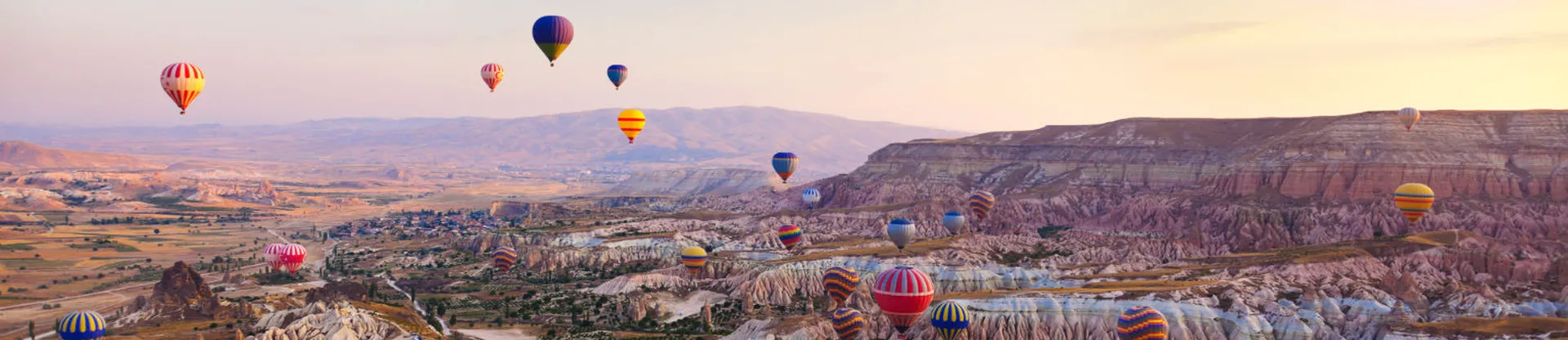 Nevşehir Hacı Bektaş Veli Üniversitesi