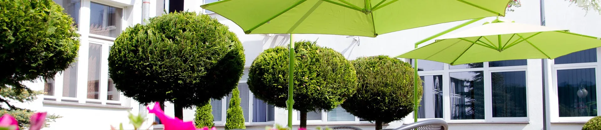 Rzeszow Bilgi Teknolojisi ve Yönetimi Üniversitesi